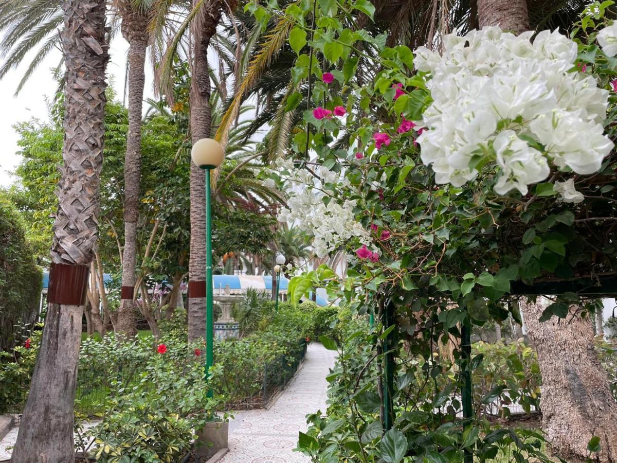 Apartamento Surycan Tropical Garden Playa del Inglés